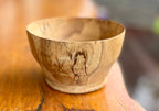 Spalted Taraire