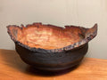 Scorched live edge plum tree ￼