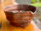 Pōhutukawa Burl #2￼