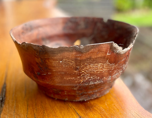 Pōhutukawa Burl #2￼