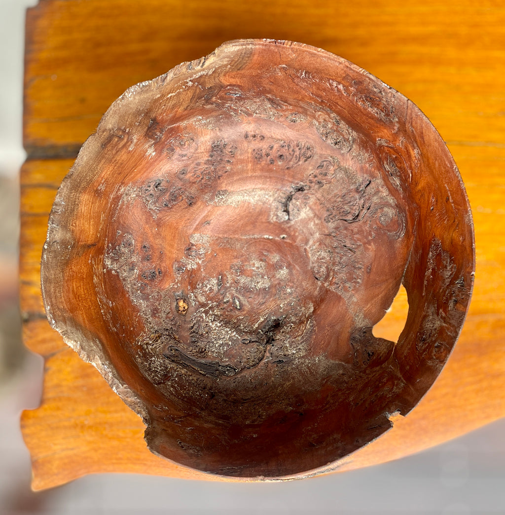 Pōhutukawa Burl #2￼