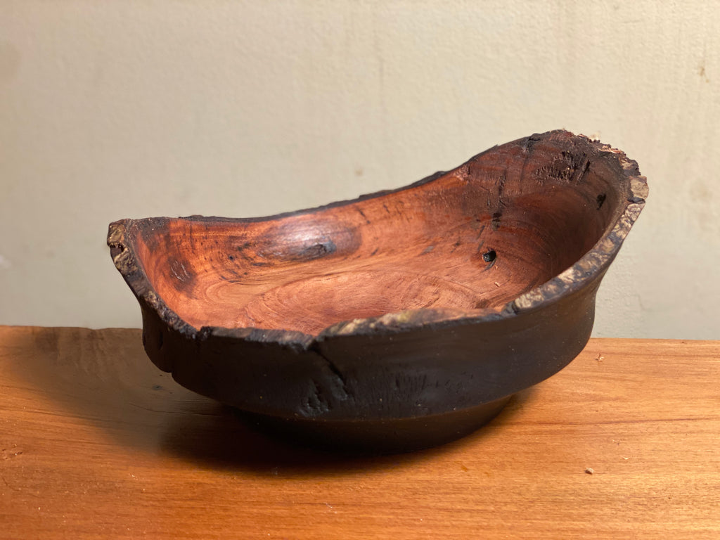 Scorched live edge plum tree ￼